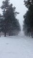 Клікнути для збільшення image.jpg
